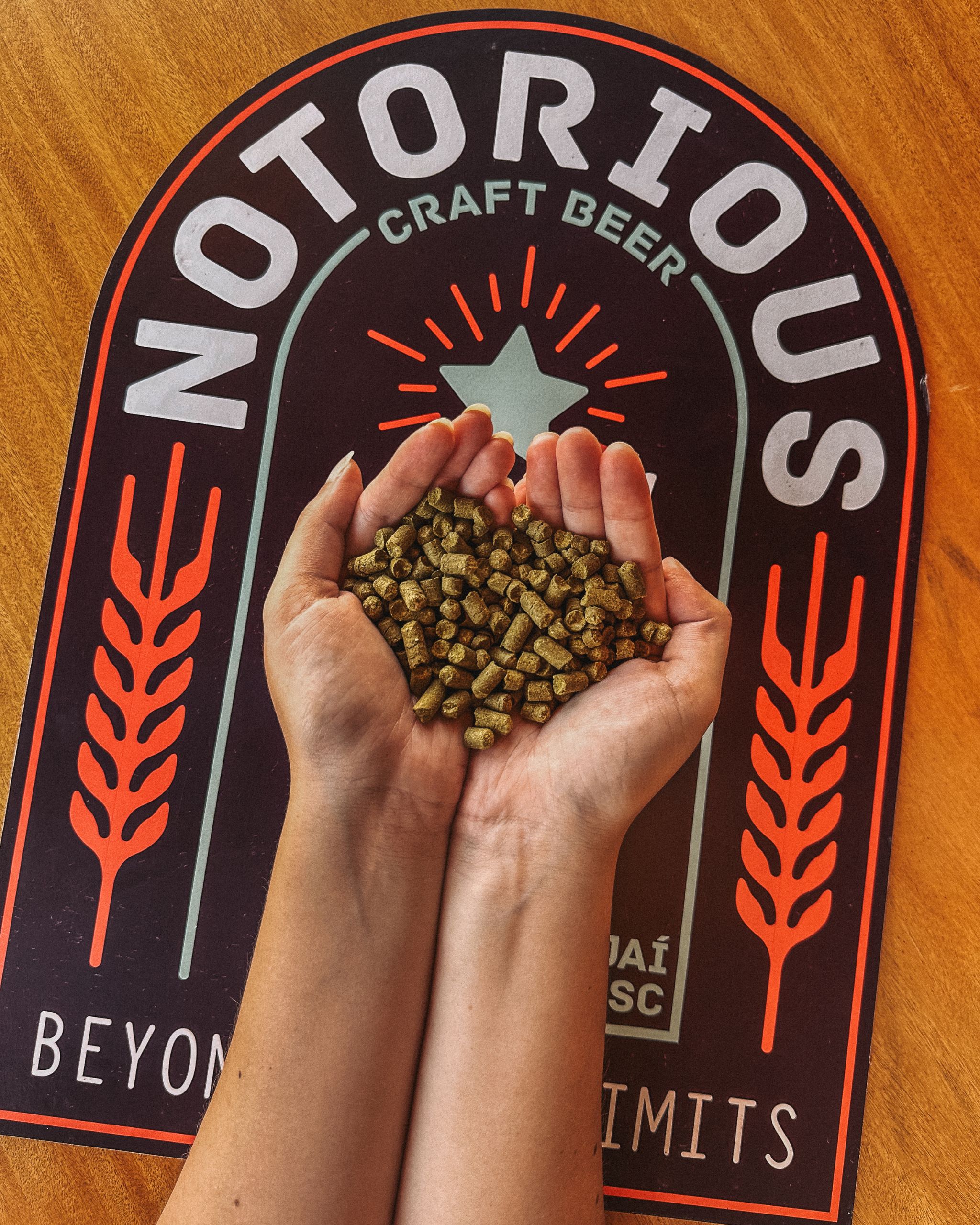 cervejaria-em-Itajaí (4)