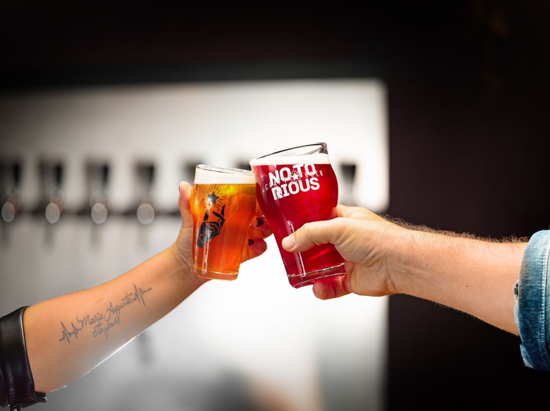 cervejaria-Notorious (3)